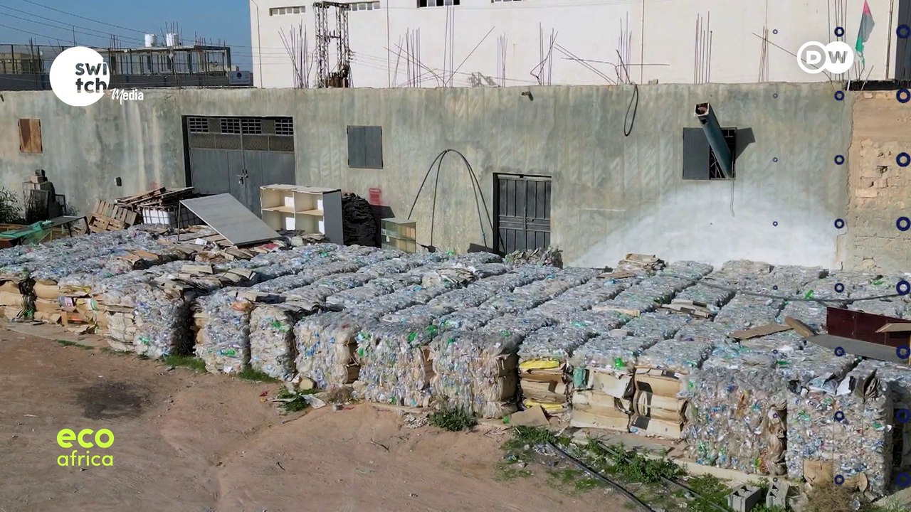 Eco Africa - What's good for the environment is good for us