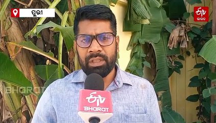 ବନ ବିଭାଗର ଅବହେଳା; ପୁରୀ ସମୁଦ୍ରରେ ହେଉନି ପେଟ୍ରୋଲିଂ, ବିପଦରେ ବିରଳ ଅଲିଭ ରିଡ଼ଲେ କଇଁଛ