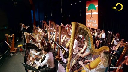 Sujet: 20 ans de Harpe à Onex