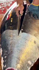 Most mesmerizing bluefin tuna cutting skills you’ll ever see