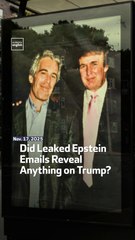 Did Leaked Epstein Emails Reveal Anything on Trump?