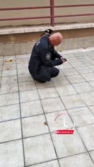 Saksağan Serkan, polisin verdiği 5 lira harçlığı beğenmedi, gaga çabukluğuyla cüzdandan 200 lirayı kapıp uçtu