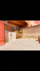 Green_ nobody banana. 😂#csgo #cs2 #gaming #counterstrike #cs2clips #csgoclips #faceit #cs2funny