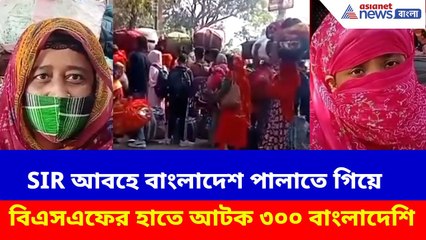 SIR আবহে বাংলাদেশ পালাতে গিয়ে বিএসএফের হাতে আটক ৩০০ বাংলাদেশি | Bangladeshi Infiltrator Arrested