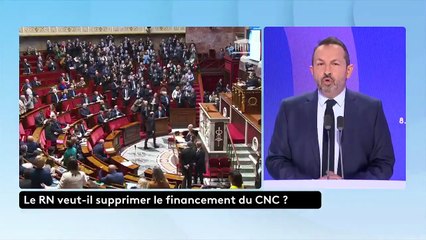 Le vice-président du RN, Sébastien Chenu, défend l'amendement visant à supprimer le financement du CNC ce mardi 18 novembre 2025