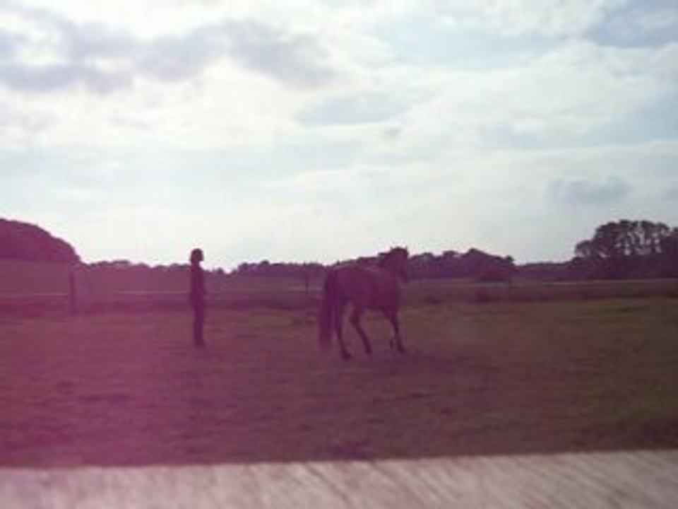 jeu du cercle et cabré