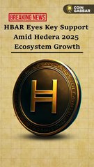 HBAR Price Update: Testing a Critical Support Zone💥