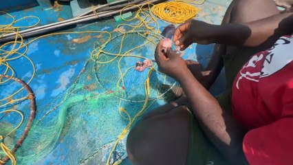 Gulf Coast Epic Catch — Unfiltered Fishing Adventure in Crystal Waters