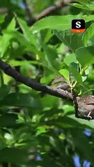 Tes regrets arrivent trop tard, ex-ch�ri - Obtenez ShortMax pour l'�pisode complet