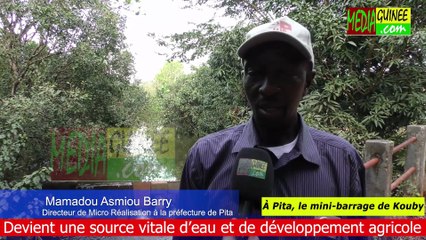 Kouby : Le marigot transformé en mini-barrage pour alimenter trois villages de Timbi Madina