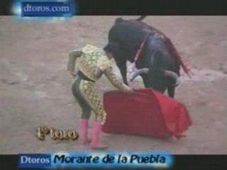 Morante de la Puebla 16ª