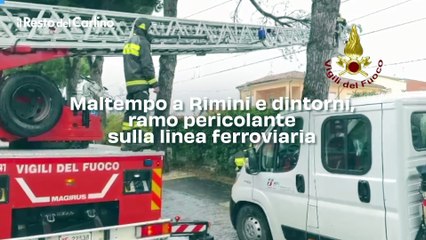 Maltempo a Rimini e dintorni, ramo pericolante sulla linea ferroviaria