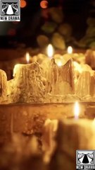 🍎🔥💥 the Alpha's Rejected Mate dailymotion