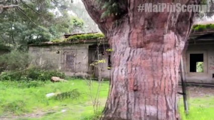 Messina, l'ex polveriera di Campo Italia diventa discarica abusiva