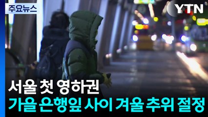 [날씨] 서울 첫 영하권...가을 은행잎 사이 겨울 추위 절정 / YTN