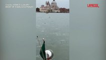 Venezia, le acrobazie del delfino Mimmo in laguna