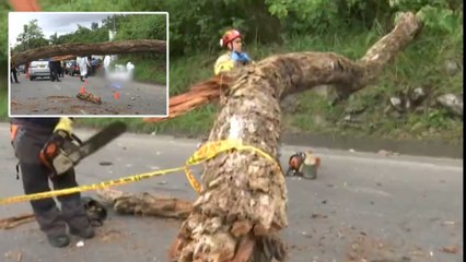 Pareja de motociclistas murió trágicamente tras la caída de un árbol en Santander