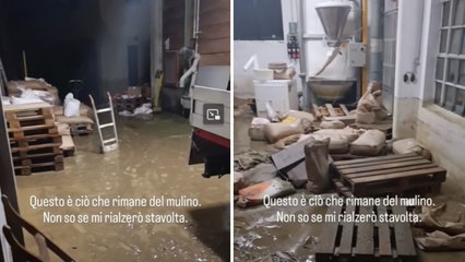 I danni allo storico Mulino Tuzzi dopo l'alluvione nel Goriziano, il proprietario sui social scrive: «Non so se mi rialzerò stavolta»