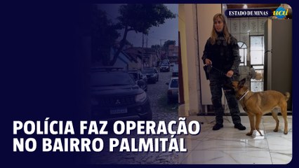 BH: deflagrada operação contra o tráfico de drogas