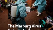 The Marburg Virus Returns to the Spotlight