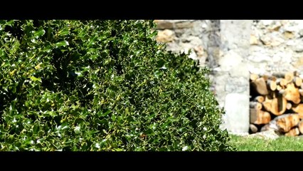 El valle del Nalón, destino único en Asturias