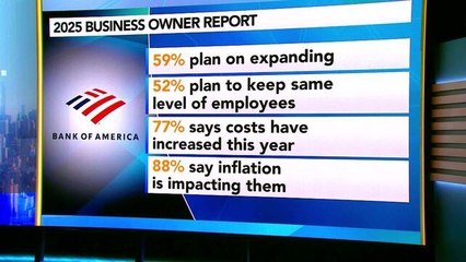 BofA Sees 'Cautious Optimism' From US Business Owners