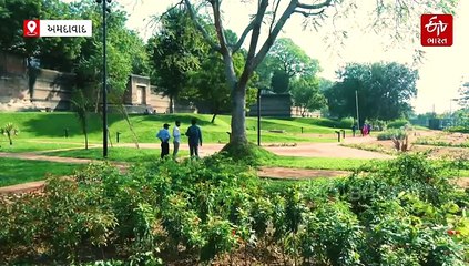 અમદાવાદીઓને નવા વર્ષે મળશે લિનિયર ગાર્ડનની ભેટ, શહેરના ઈતિહાસ-વિકાસને દર્શાવતા આ ગાર્ડનમાં શું હશે ખાસ?