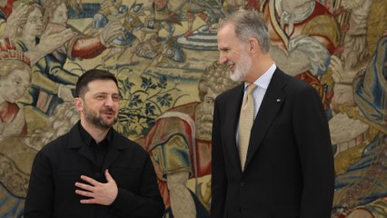 Felipe VI se reúne con el presidente de Ucrania, Volodímir Zelenski