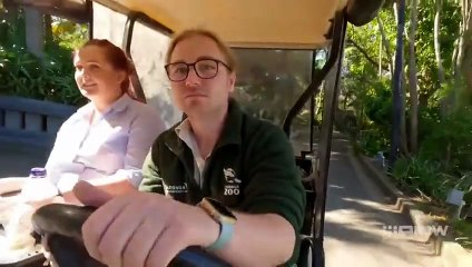 Secrets of the Zoo: Down Under - Season 6 Episode 3 - Seal Survey