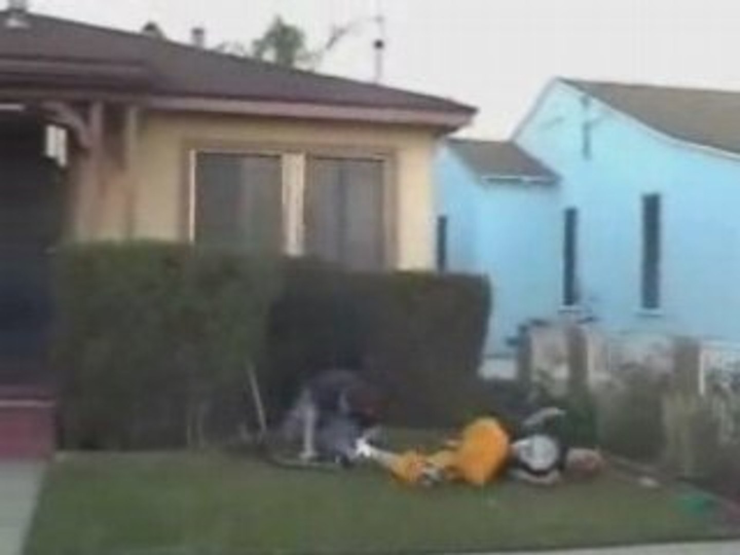 backyard world wrestling entertaiment raw ecw jackass