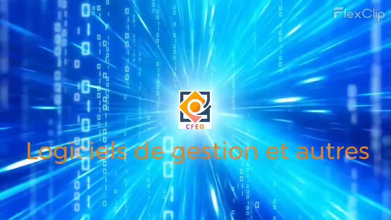 Vidéo 2 saisies d'information dans un tableur excel