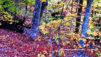 Autmn2020 - Ορεινή Δράμα