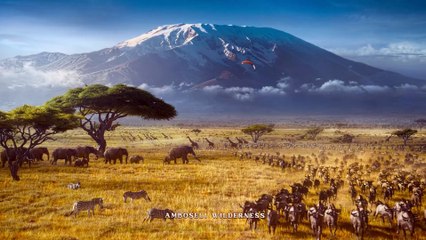 Après RRR, S.S. Rajamouli dévoile sa nouvelle épopée : Bande-annonce de Varanasi (vo)