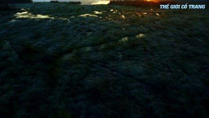 Tập 53 - PHÙ DAO HOÀNG HẬU ( Lồng Tiếng ) | Dương Mịch, Nguyễn Kinh Thiên, Cao Vỹ Quang, Lưu Dịch Khâm, Trương Nhã Quân…