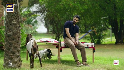 Biryani Episode 29   18 Nov 2025   Khushhal Khan   Ramsha Khan    ARY Digital Drama