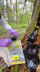 This Forest Mystery Took A Crazy Turn 🌲🔥 #wowcube