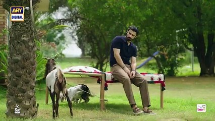 Biryani Episode 29  18 Nov 2025  Khushhal Khan  Ramsha Khan   ARY Digital Drama - ARY Digital HD (360p, h264)