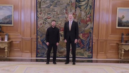 Felipe VI se reúne con el presidente de Ucrania, Volodímir Zelenski