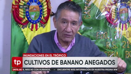 Programa Telepaís Cochabamba, Martes 18 de noviembre del 2025