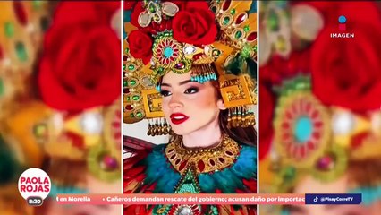 Mariposa monarca completa viaje de 3,000 km con GPS en su cuerpo | DPC con Paola Rojas