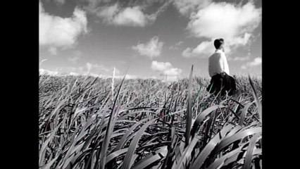 Black - Wonderful Life