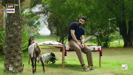 Biryani Episode 29 - 18th November 2025 - ARY Digital Drama