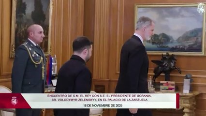 S.M. el Rey mantiene un encuentro con S.E. el Presidente de Ucrania, Sr. Volodymyr Zelenskyy