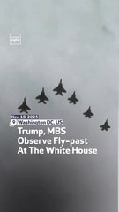 Trump, MBS Observe Fly-past At The White House