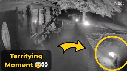 Scene turns chaotic as gasoline cup ignites during an attempt to start a fire in the yard