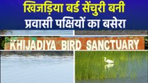 जामनगर की खिजड़िया बर्ड सेंचुरी बनी पर्यटकों का आकर्षण, माइग्रेटरी बर्ड्स को देखने पहुंच रहे लोग