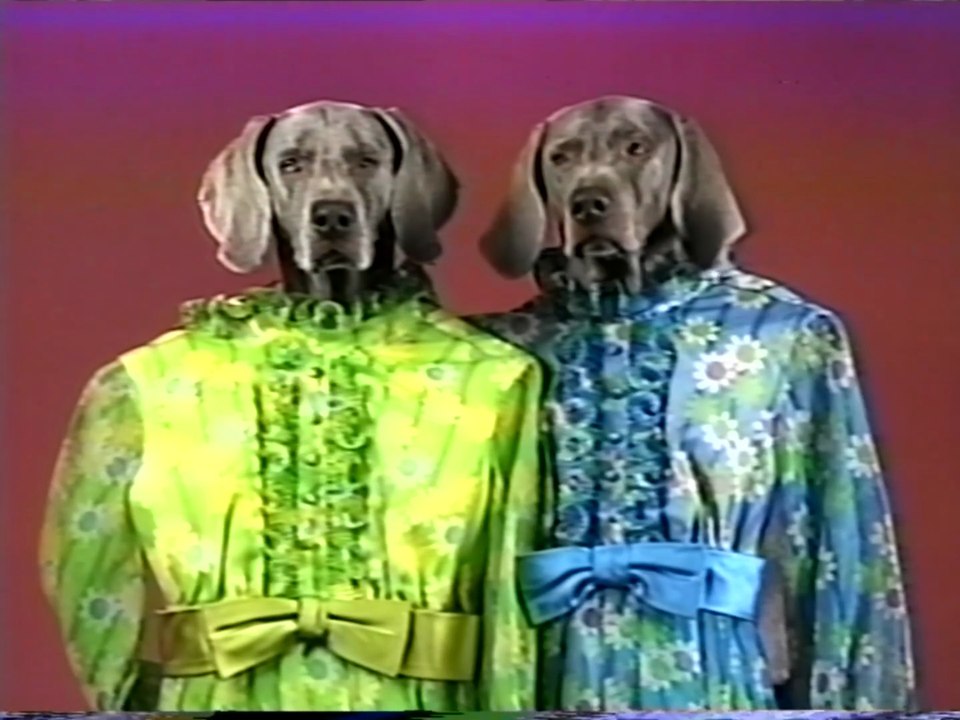 Sesame Street - William Wegman's Mother Goose (1997) (Full VHS HQ Video)