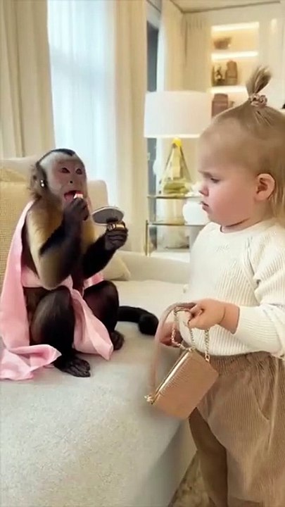 Baby Sends Monkey to Get Married 😂💄🐒