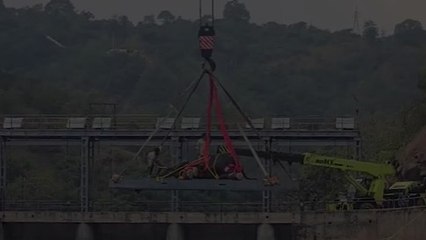 Video: Elephant rescued from canal with crane in Karnataka