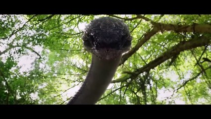 Snakerr Movie_ Giant Mutant Python Escapes the Lab_ Turns the City Into Blood-Soaked Nightmare(1080P_HD)